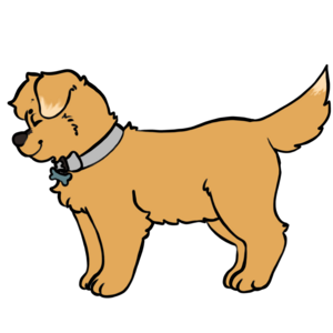 Side view of Scout, a golden-brown dog